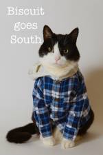 Biscuit goes South af Stephanie Fletcher