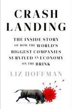 Crash Landing af Liz Hoffman