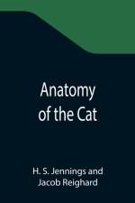 Anatomy of the Cat af H S Jennings