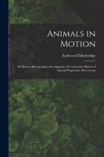 Animals in Motion