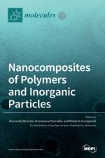 Nanocomposites of Polymers and Inorganic Particles af MARINELLA STRICCOLI