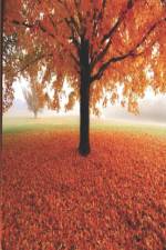 AS CHILDREN GATHER 'ROUND: POETRY af Sherri Lynne Harmon