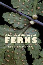A Natural History of Ferns af Robbin C. Moran