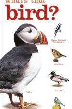 RSPB What's that Bird? af DK