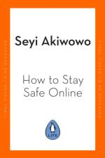 How to Stay Safe Online af Seyi Akiwowo