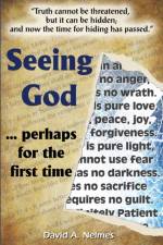 Seeing God af David Nelmes