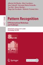 Pattern Recognition. ICPR International Workshops and Challenges