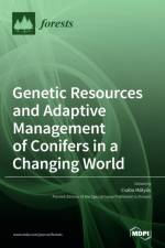 Genetic Resources and Adaptive Management of Conifers in a Changing World