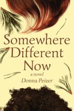 Somewhere Different Now af Peizer Donna Peizer