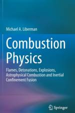 Combustion Physics af Michael A. Liberman