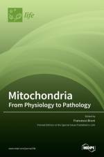 Mitochondria
