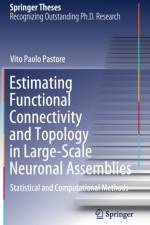 Estimating Functional Connectivity and Topology in Large-Scale Neuronal Assemblies