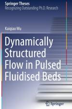 Dynamically Structured Flow in Pulsed Fluidised Beds