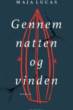 Gennem natten og vinden