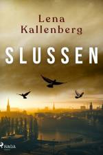 Slussen af Lena Kallenberg