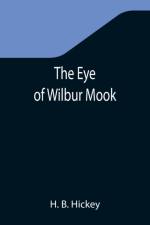 Eye of Wilbur Mook af H B Hickey