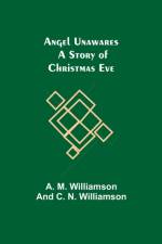 Angel Unawares af C N Williamson