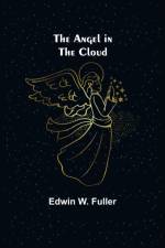 Angel in the Cloud af Edwin W Fuller