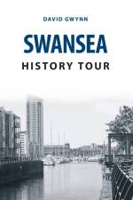 Swansea History Tour af David Gwynn