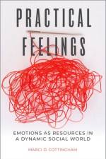 Practical Feelings af Marci D. (Associate Professor of Sociology Cottingham