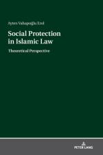 Social Protection in Islamic Law af Ayten Erol