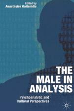 The Male In Analysis af Anastasios Gaitanidis