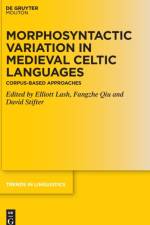 Morphosyntactic Variation in Medieval Celtic Languages