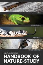 The Handbook Of Nature Study in Color - Fish, Reptiles, Amphibians, Invertebrates af Anna Comstock