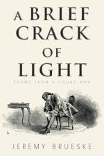 Brief Crack of Light af Jeremy Brueske