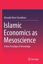 Islamic Economics as Mesoscience