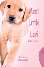 Meet Little Levi af Mary Connell