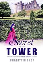 THE SECRET IN THE TOWER af Charity Bishop
