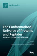 Conformational Universe of Proteins and Peptides af MARILISA LEONE