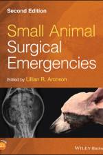 Small Animal Surgical Emergencies af L Aronson