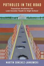 Potholes in the Road af Martin Sanchez-Jankowski