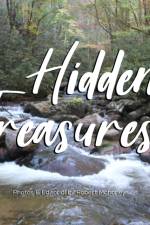 Hidden Treasures af Robert L Mahoney