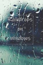 Raindrops on Windows af Seb Wolff