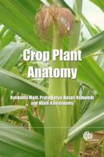 Crop Plant Anatomy af Ratikanta (Vibha Agrotech Ltd Maiti