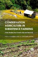 Conservation Agriculture in Subsistence Farming