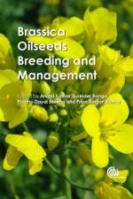 Brassica Oilseeds