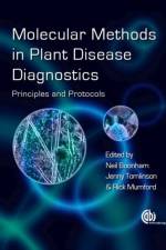 Molecular Methods in Plant Disease Diagnostics
