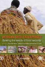 African Seed Enterprises