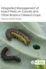 Integrated management of Insect Pests on Canola and other Brassica Oilseed Crops