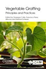 Vegetable Grafting