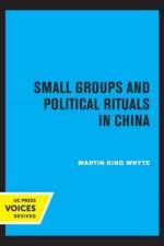 Small Groups and Political Rituals in China af Martin King Whyte