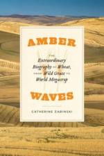 Amber Waves af Catherine Zabinski