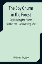 The Boy Chums in the Forest; Or, Hunting for Plume Birds in the Florida Everglades af Wilmer M Ely