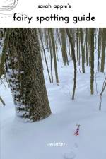 Sarah Apple Winter Fairy Spotting Guide af Sarah Papple