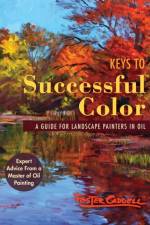 Keys to Successful Color af Foster Caddell