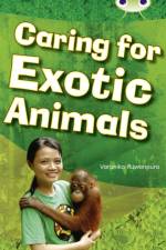 Bug Club Independent Non Fiction Year Two White A Caring for Exotic Animals af Varunika Ruwanpura